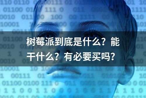 树莓派到底是什么？能干什么？有必要买吗？