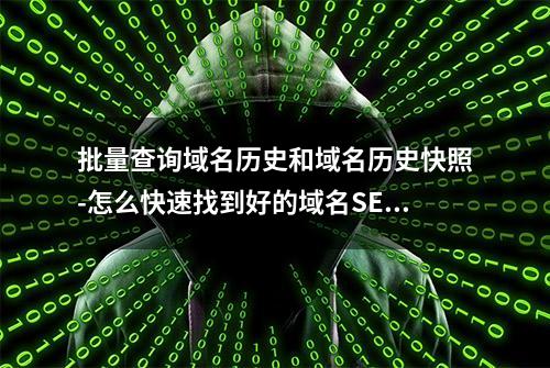 批量查询域名历史和域名历史快照-怎么快速找到好的域名SEO优化