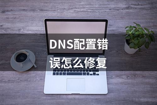 DNS配置错误怎么修复