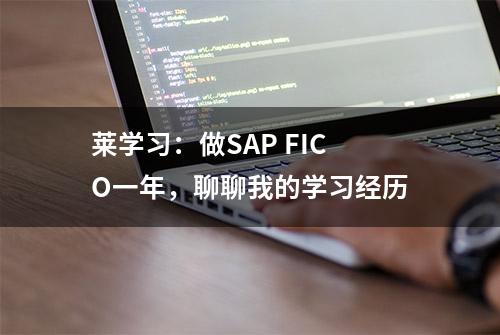 莱学习：做SAP FICO一年，聊聊我的学习经历