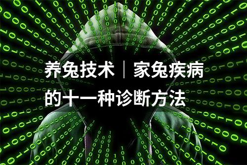 养兔技术｜家兔疾病的十一种诊断方法