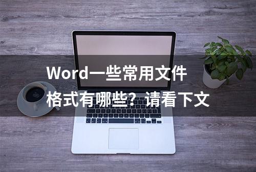 Word一些常用文件格式有哪些？请看下文