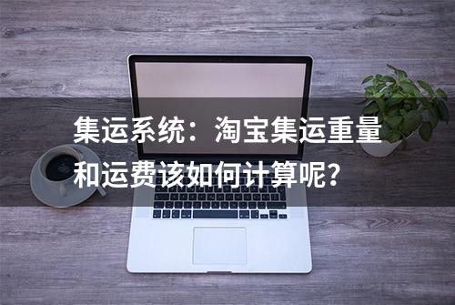 集运系统：淘宝集运重量和运费该如何计算呢？