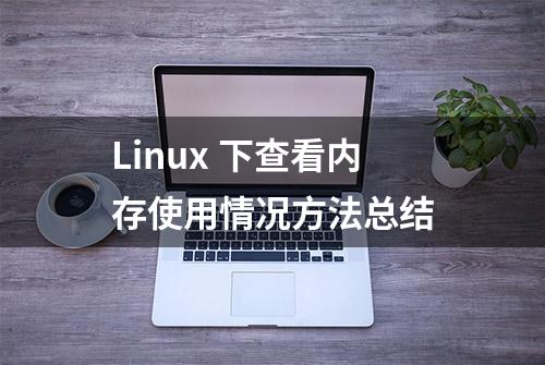 Linux 下查看内存使用情况方法总结