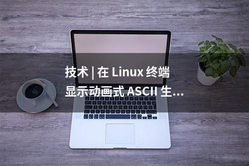 技术 | 在 Linux 终端显示动画式 ASCII 生日祝福