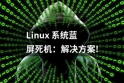 Linux 系统蓝屏死机：解决方案!