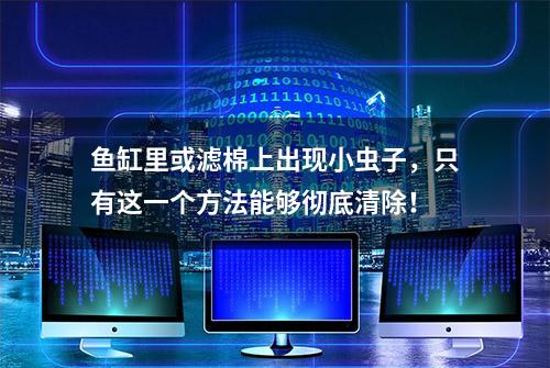 鱼缸里或滤棉上出现小虫子，只有这一个方法能够彻底清除！