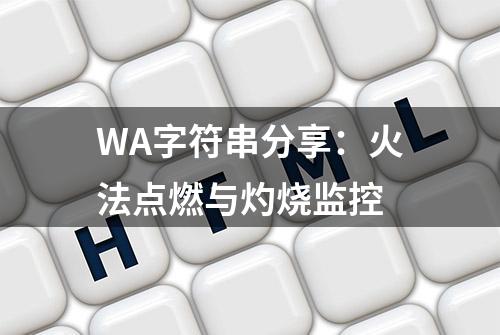 WA字符串分享：火法点燃与灼烧监控