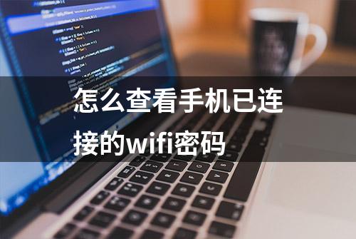 怎么查看手机已连接的wifi密码