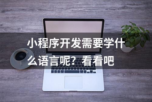 小程序开发需要学什么语言呢？看看吧