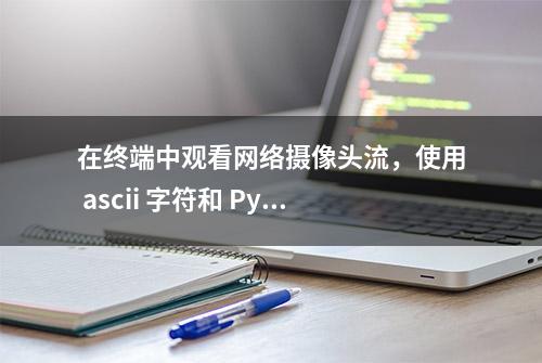 在终端中观看网络摄像头流，使用 ascii 字符和 Python