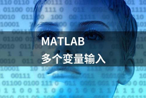 MATLAB多个变量输入