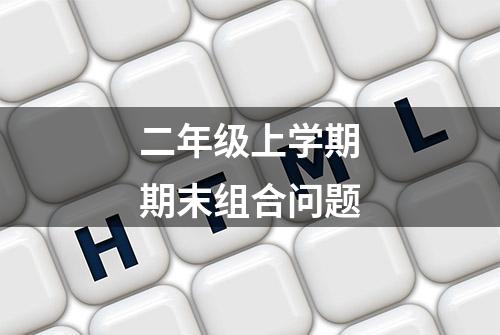 二年级上学期期末组合问题