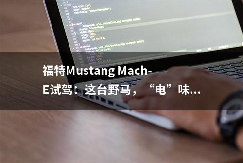 福特Mustang Mach-E试驾：这台野马，“电”味儿十足 | 钛极客