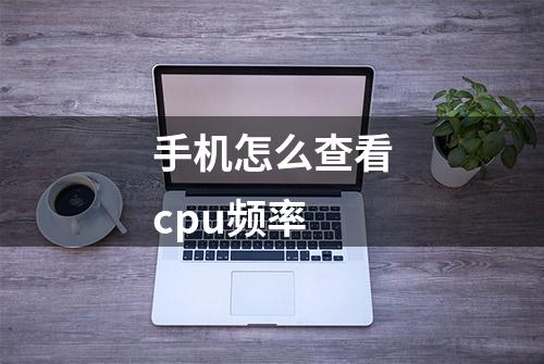 手机怎么查看cpu频率