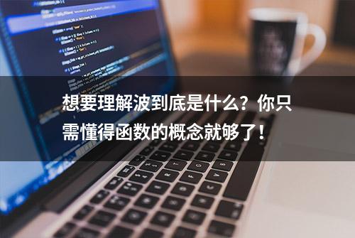 想要理解波到底是什么？你只需懂得函数的概念就够了！