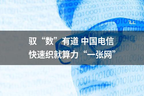 驭“数”有道 中国电信快速织就算力“一张网”