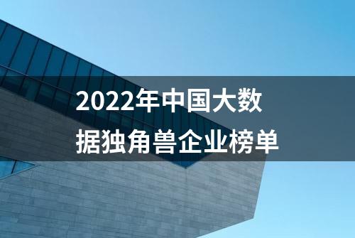 2022年中国大数据独角兽企业榜单