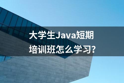 大学生Java短期培训班怎么学习？