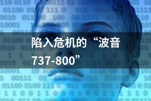 陷入危机的“波音737-800”