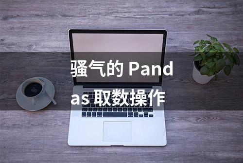 骚气的 Pandas 取数操作