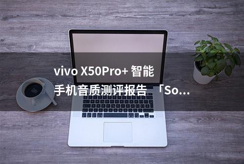 vivo X50Pro+ 智能手机音质测评报告  「Soomal」