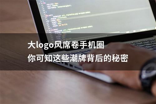 大logo风席卷手机圈 你可知这些潮牌背后的秘密