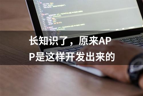 长知识了，原来APP是这样开发出来的