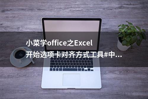 小菜学office之Excel开始选项卡对齐方式工具#中视频伙伴计划