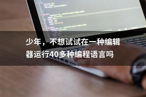 少年，不想试试在一种编辑器运行40多种编程语言吗