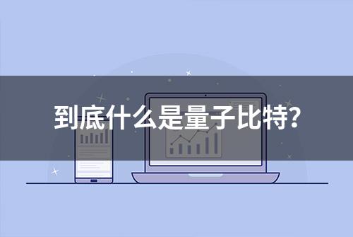 到底什么是量子比特？