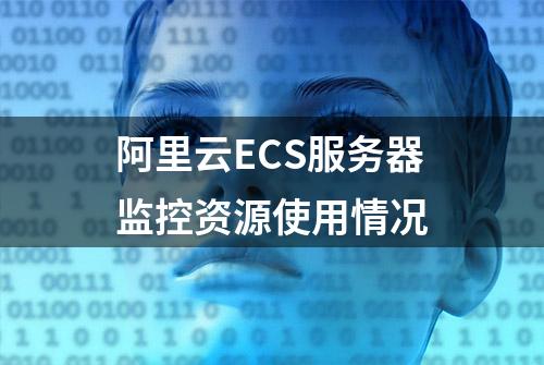 阿里云ECS服务器监控资源使用情况