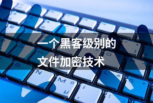 一个黑客级别的文件加密技术