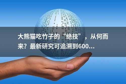 大熊猫吃竹子的“绝技”，从何而来？最新研究可追溯到600万年前