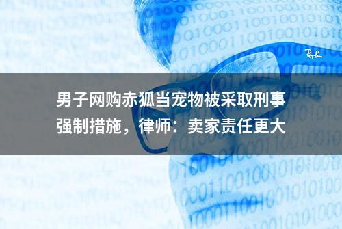 男子网购赤狐当宠物被采取刑事强制措施，律师：卖家责任更大