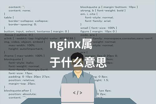 nginx属于什么意思