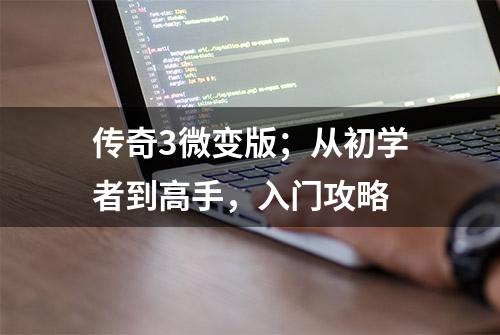 传奇3微变版；从初学者到高手，入门攻略