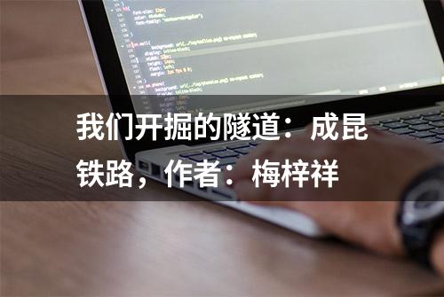 我们开掘的隧道：成昆铁路，作者：梅梓祥