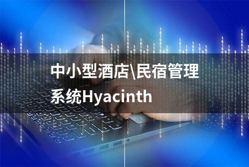 中小型酒店\民宿管理系统Hyacinth