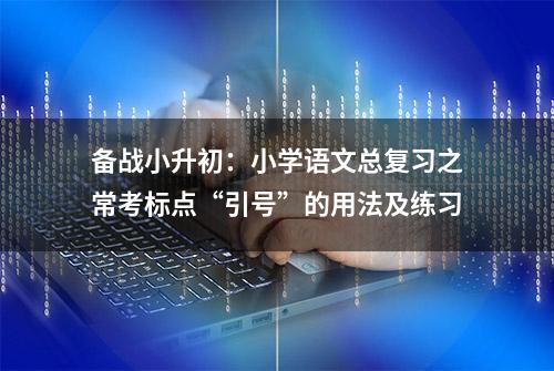 备战小升初：小学语文总复习之常考标点“引号”的用法及练习