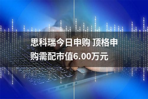 思科瑞今日申购 顶格申购需配市值6.00万元