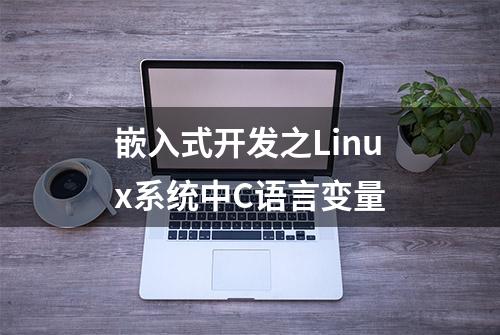 嵌入式开发之Linux系统中C语言变量