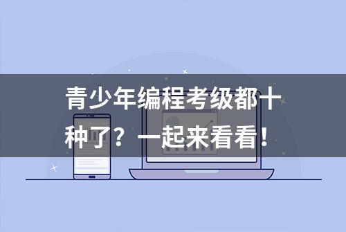 青少年编程考级都十种了？一起来看看！