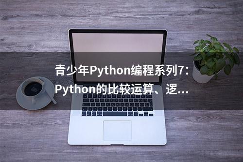 青少年Python编程系列7：Python的比较运算、逻辑运算和布尔值