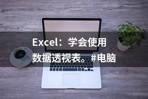 Excel：学会使用数据透视表。#电脑