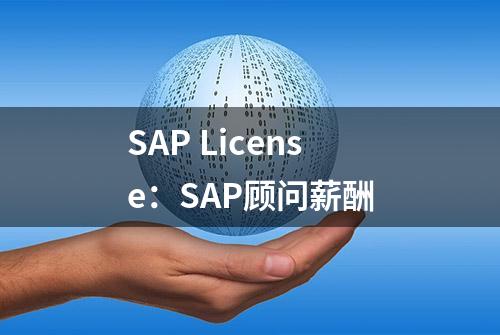 SAP License：SAP顾问薪酬