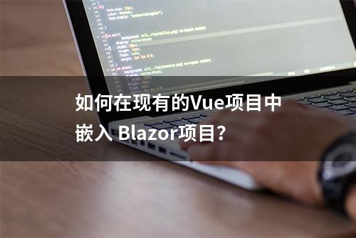 如何在现有的Vue项目中嵌入 Blazor项目？