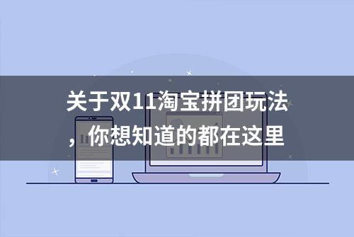 关于双11淘宝拼团玩法，你想知道的都在这里