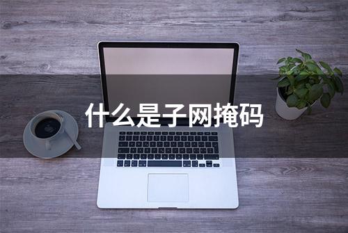 什么是子网掩码