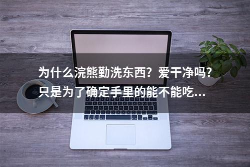 为什么浣熊勤洗东西？爱干净吗？只是为了确定手里的能不能吃罢了